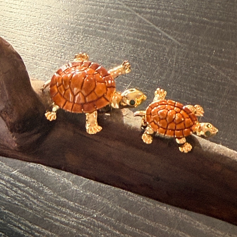 1960’s Turtle Brooch Set